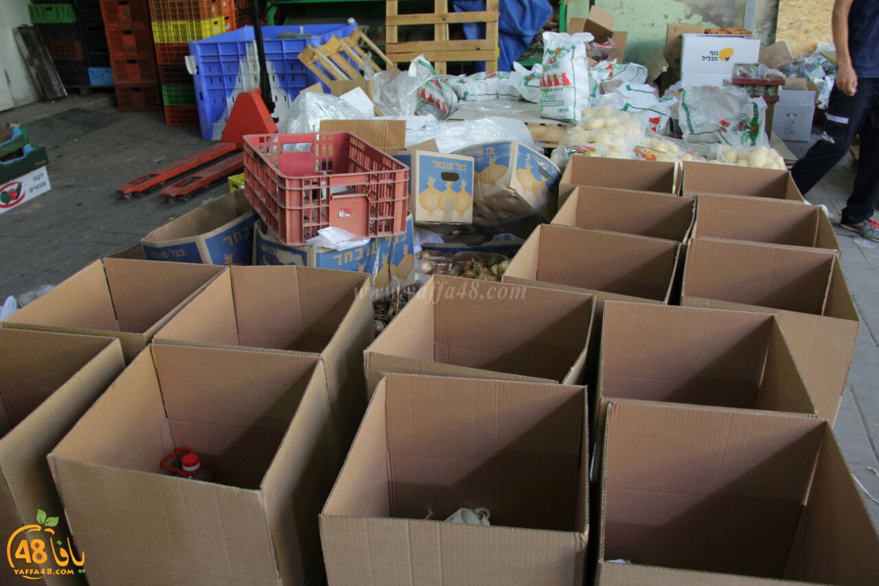 torody second marl7ala (3).jpg